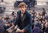 Фильм Фантастические твари и где они обитают / Fantastic Beasts and Where to Find Them (2016) - cцена 4