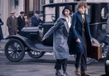 Фильм Фантастические твари и где они обитают / Fantastic Beasts and Where to Find Them (2016) - cцена 3